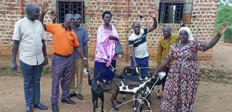 Another batch of goats received