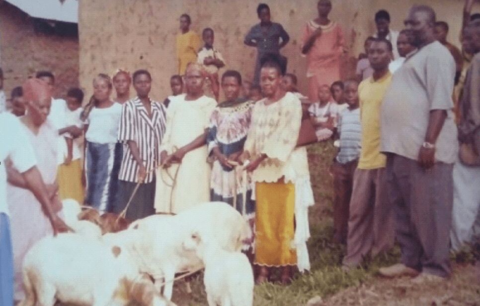 Orphans supported by GCPM